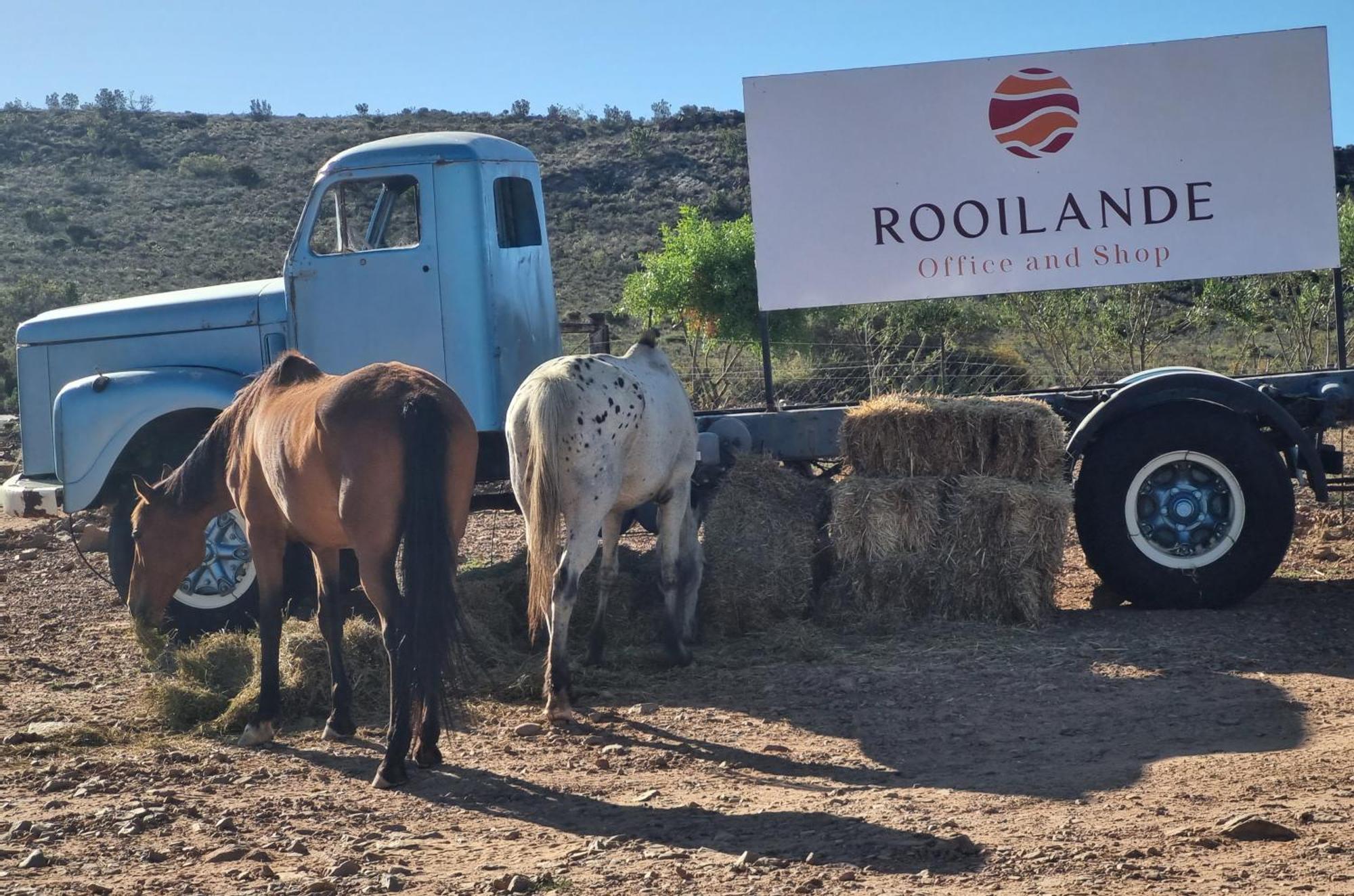 Апартаменты Rooilande Guest Farm Laingsburg Экстерьер фото