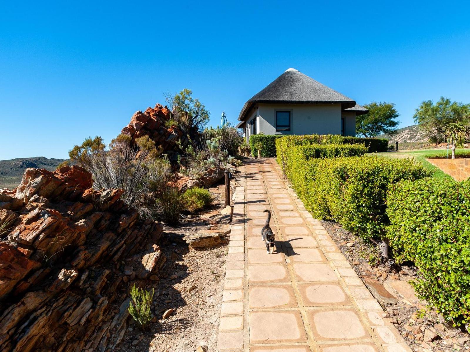 Апартаменты Rooilande Guest Farm Laingsburg Экстерьер фото